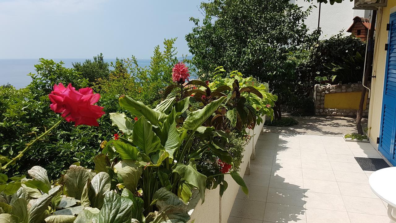 Apartmani Famelja Jovanovic สเวติ สเตฟาน ภายนอก รูปภาพ